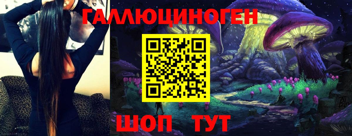Галлюциногенные грибы Psilocybine cubensis Шатура