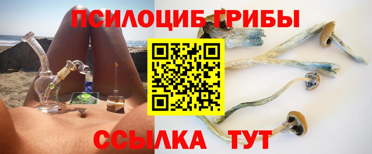 Псилоцибиновые грибы MAGIC MUSHROOMS  Вход с VPN  Шатура 